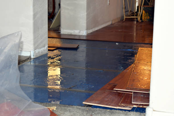 Professional Sewage Cleanup technician working in Albertson, NC
